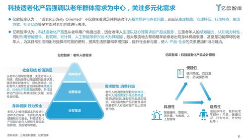 《2021中国科技适老化产品研究报告》——信息技术咨询服务的角色与展望